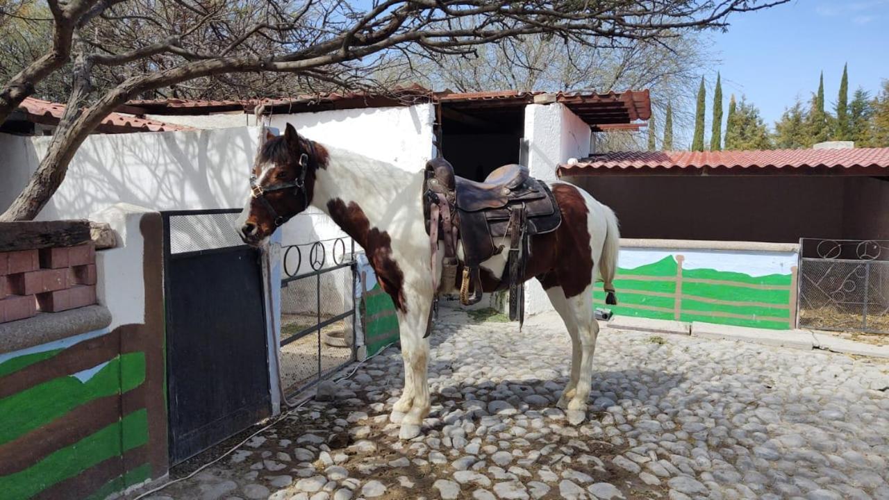 Rancho Labradores Atotonilco  Exterior foto