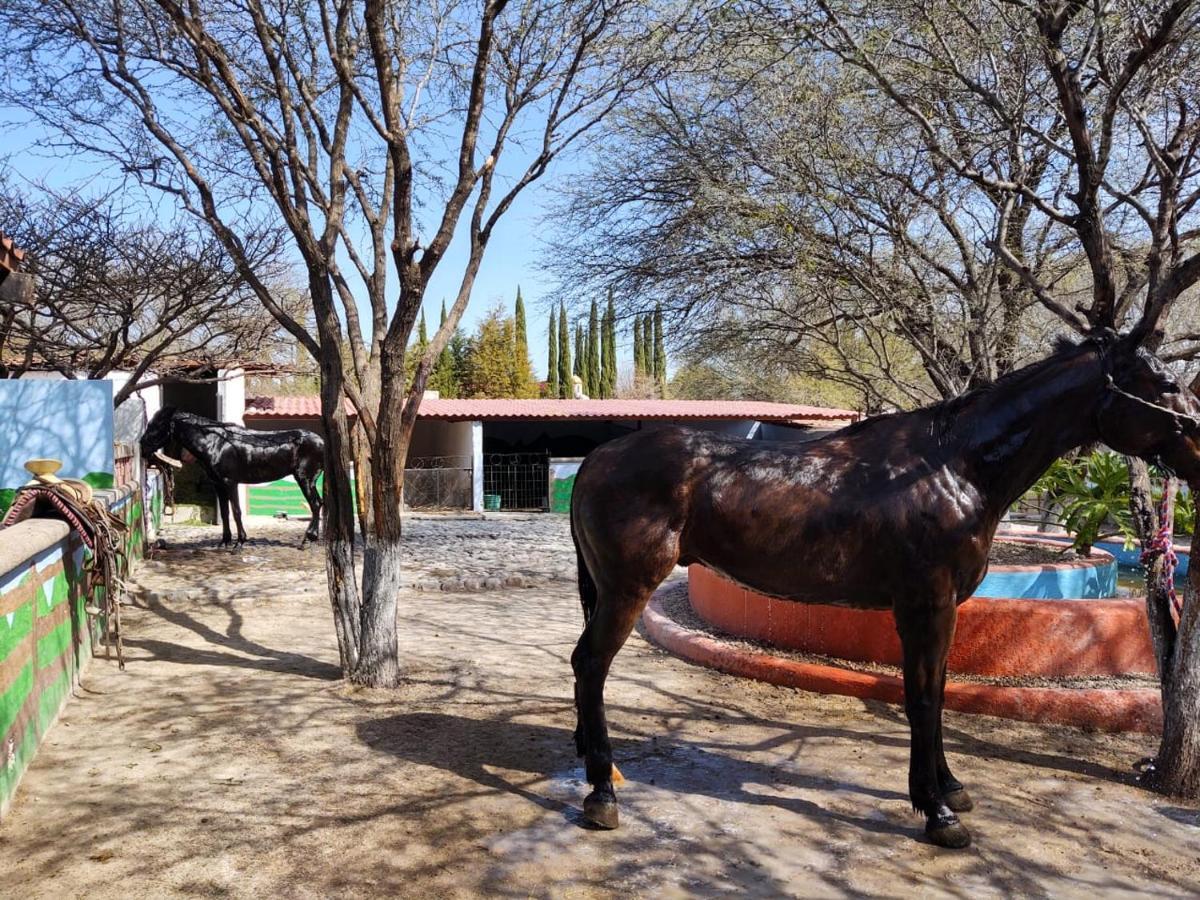 Rancho Labradores Atotonilco  Exterior foto